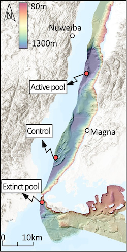 Chakraborty_RedSea_CSL2024_Prospectus-2