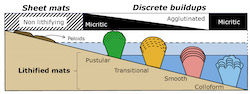 Pollier_Microbialites_CSL2024_Prospectus-3