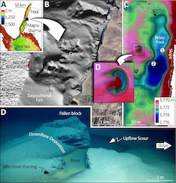 Purkis_RedSea_CSL2024_Prospectus