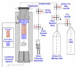 Weger_sealcapacity_CSL2024_Prospectus-17